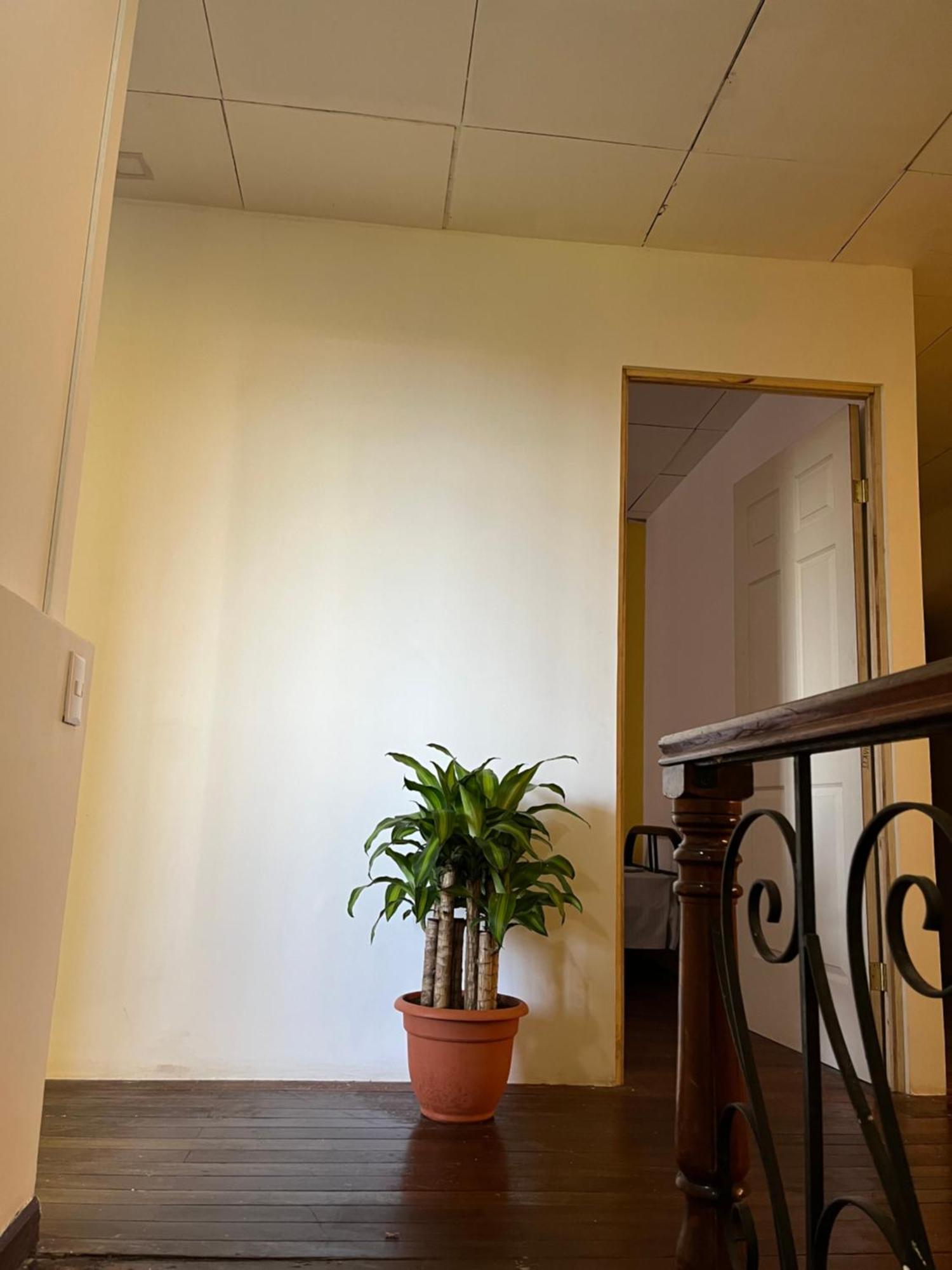El Parque Bed And Breakfast Alajuela Екстериор снимка